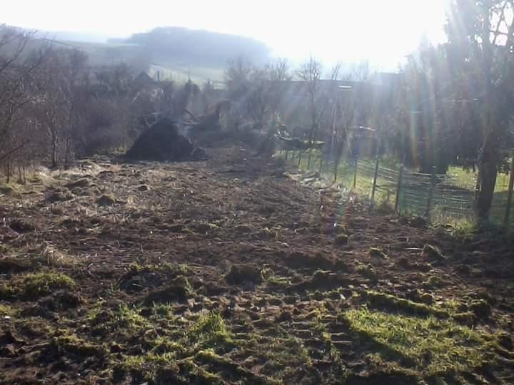 défrichage